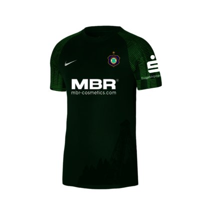 NIKE Torwarttrikot grün NIKE Torwarttrikot grün